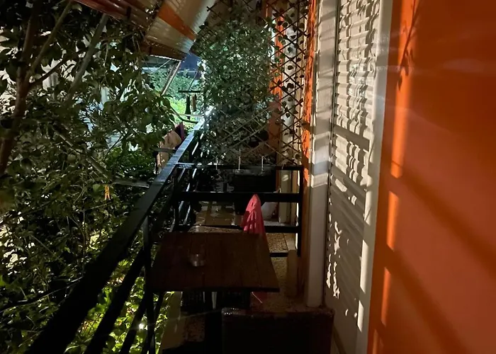 Guest house Pislis 3*